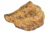 Chinga Iron Meteorite ( g) - Historic Meteorite #263170-1